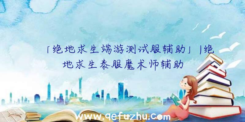 「绝地求生端游测试服辅助」|绝地求生泰服魔术师辅助